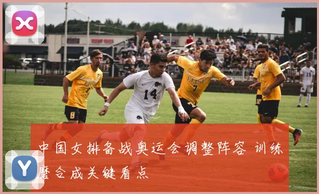中国女排备战奥运会调整阵容 训练磨合成关键看点