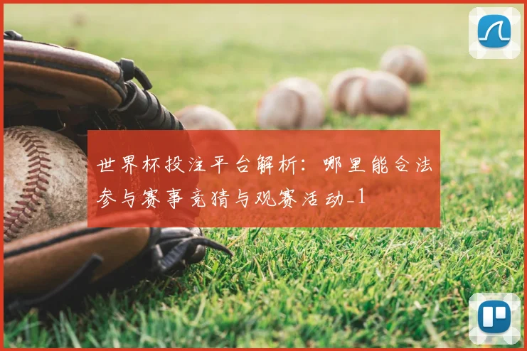 世界杯投注平台解析:哪里能合法参与赛事竞猜与观赛活动_1