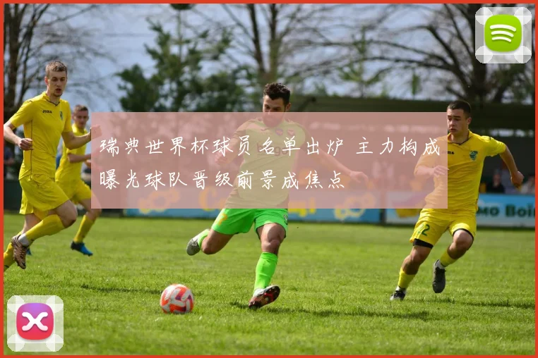 瑞典世界杯球员名单出炉 主力构成曝光球队晋级前景成焦点