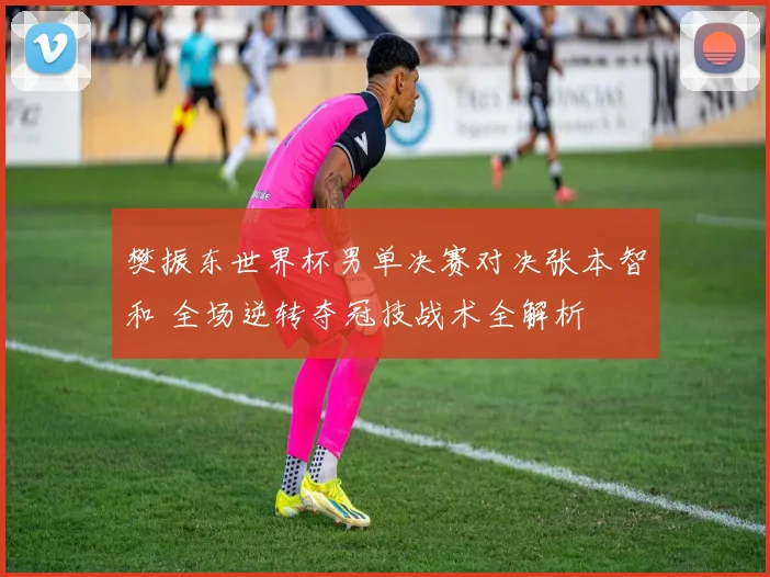 樊振东世界杯男单决赛对决张本智和 全场逆转夺冠技战术全解析